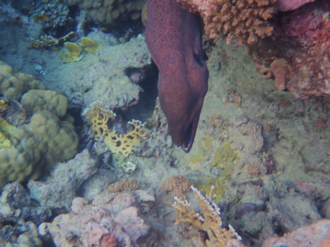 Egypte - Kom ook even kijken