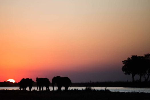 Krugerpark - Mooi......