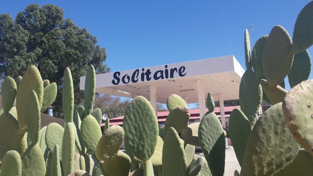 Camperroute Namibië in twee weken - Voor de allerlekkerste appeltaart ooit....