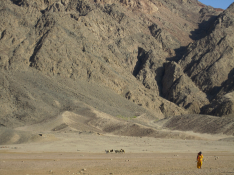 Dahab en Sharm el Sheikh - Ras Abu Galum National Park