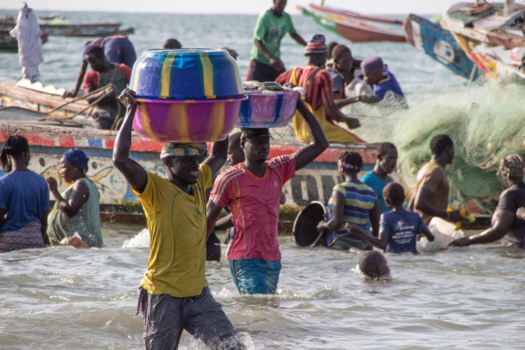 Gambia - Vissersdorp Tanji, hier komen geuren en kleuren samen