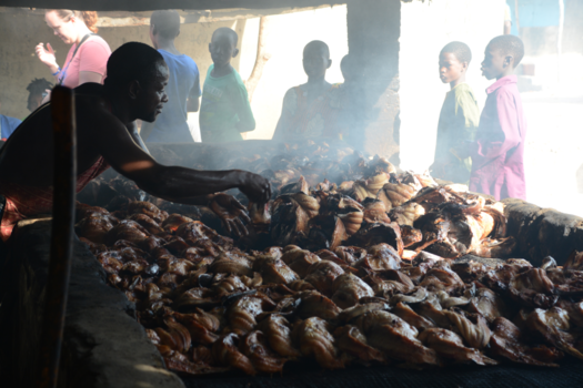 Gambia - Het roken van vers gevangen vis.