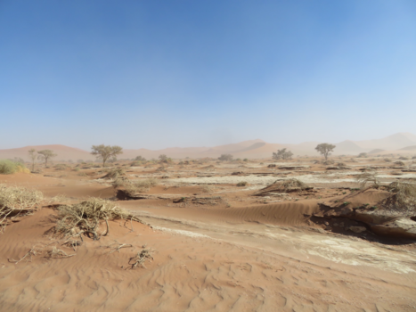 Namibië - namib naukluft park