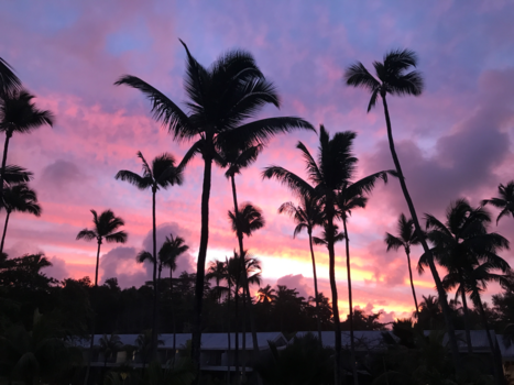 Seychellen - Het paradijs