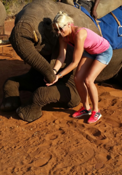 Victoria Falls (Zimbabwe) - Olifant voederen.