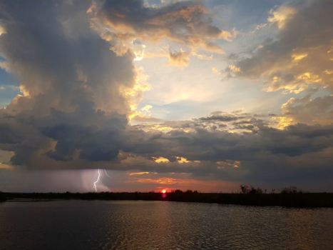 Chobe National Park - Sunlight