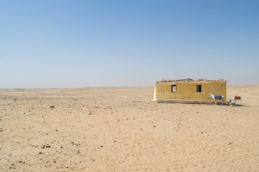 Egypte - Western Desert of Egypt