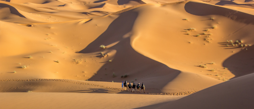 Rondreis hoogtepunten Marokko - De kleur van het zand is als een fluwelen deken.