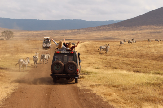 Ngorongoro krater - Tussen de zebra’s in Tanzania