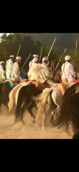Marokko - paarden in ksar el kabir