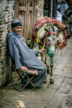 Marokko - In de smalle straatjes van Fez