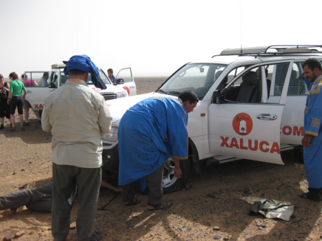 Marokko - Lekke band in de woestijn!