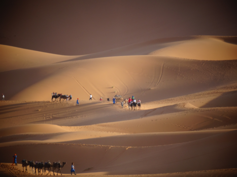 Rondreis hoogtepunten Marokko - Tegen zonsondergang in de woestijn.