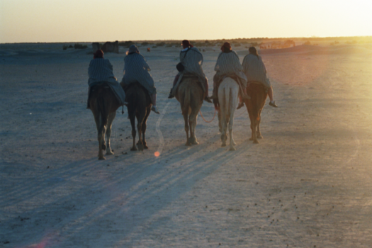 Tunis - Tunis, desert.