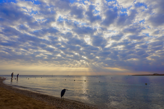Egypte - Met z'n drieën op zoek naar vissen