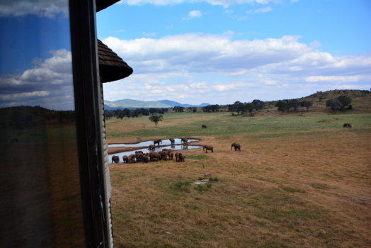 Kenia - room with a view !!!