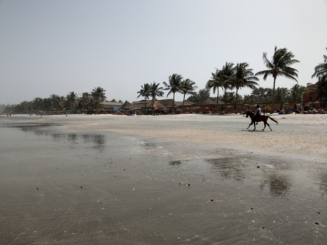 Gambia - stranden