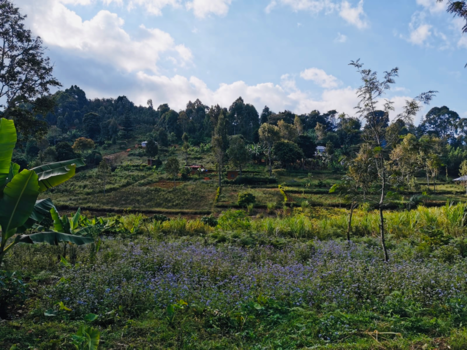 Tanzania - Landschap in de bergen van Lushoto