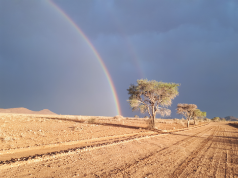 Namibië - Regenboog Hammerstein Lodge, Sossusvlei