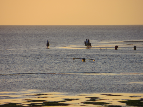 Stranden van Zanzibar - Ruiters en vissers in de ochtendzon