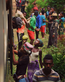 Madagaskar - The “iron snake” brought life to the jungle.