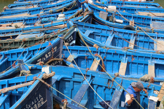 Marokko - De vis is binnen