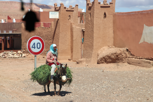 Marokko - na het werk op het land