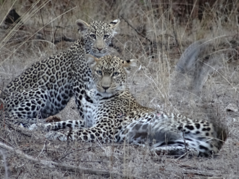 Rondreis Kenia - precious