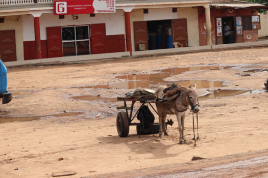 Gambia - wachten op de pechhulp