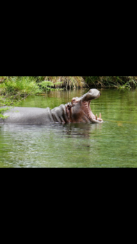 Kenia - Houd het hoofd boven water!