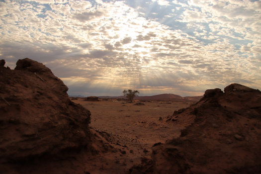 Namib-woestijn - Ochtendlicht Sossusvlei