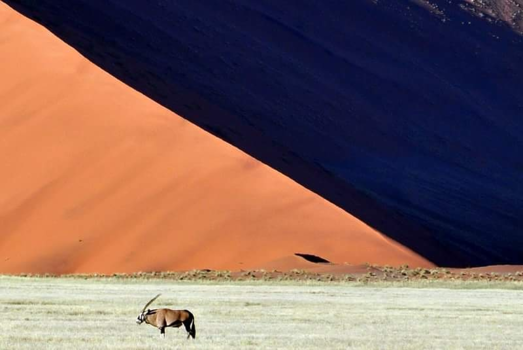 Namib-woestijn - Orange-blue