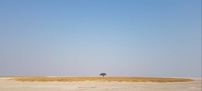Makgadikgadi Pan - One Tree Island