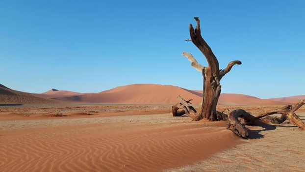 Namibië - In de woenstijn