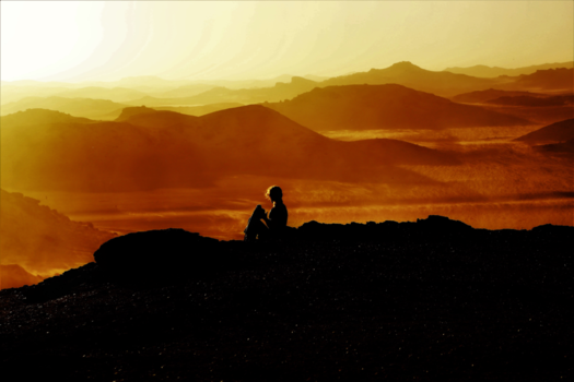 Namib-woestijn - Contemplatie