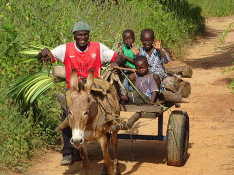 Gambia - Gambiaanse BMW