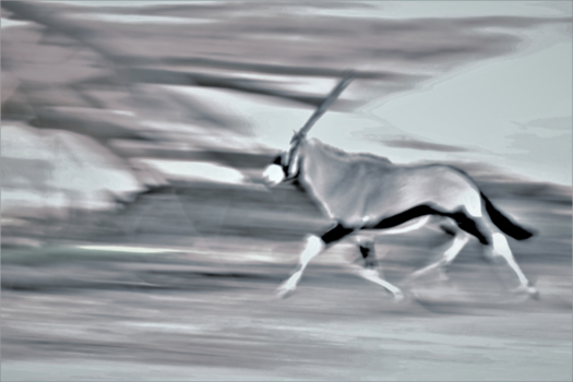 Namib-woestijn - Schilderij in draf