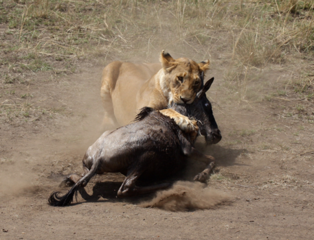 Kenia - Dinner time