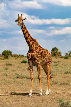 Kenia