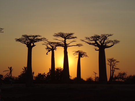 Madagaskar - Mooie zonsondergang
