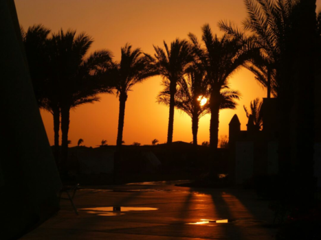 Egypte - Zonsopgang in Egypte