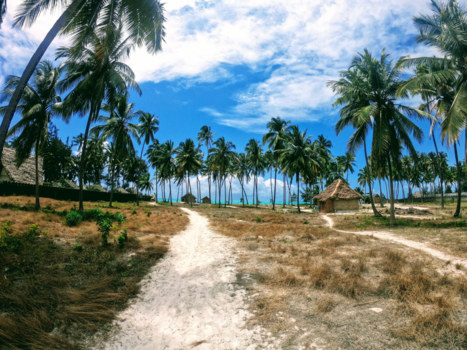 Stranden van Zanzibar - Paje, Zanzibar