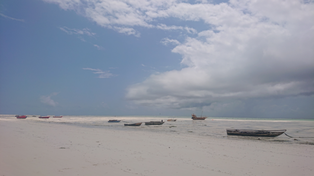 Stranden van Zanzibar - Eb in Paje