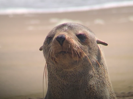 Namibië - The force is strong in this one