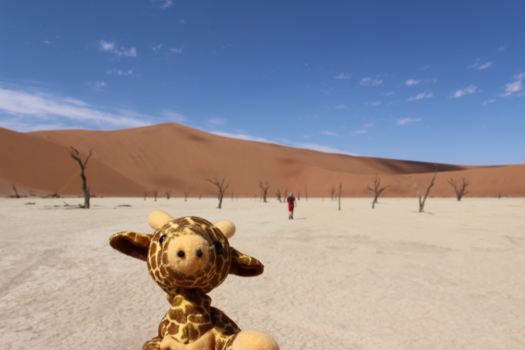Namib-woestijn - Selfie