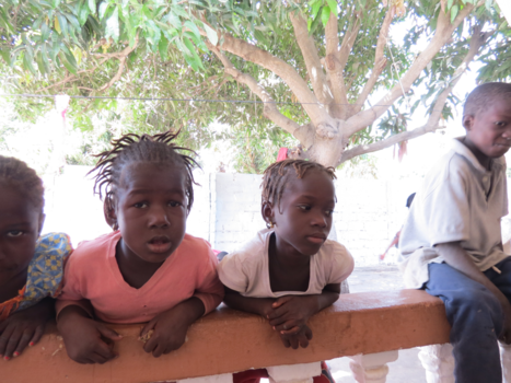 Gambia - Nieuwsgierige kopjes