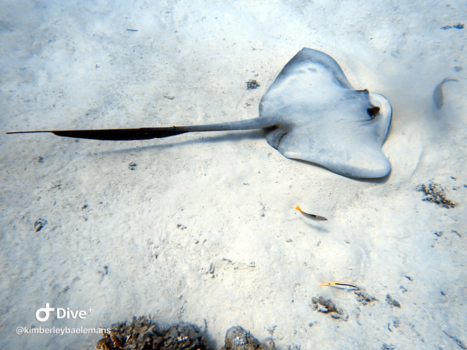 Egypte - the deep blue sea