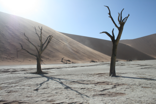 Sossusvlei - Stilte Na de Storm