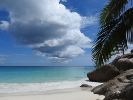 Seychellen - Endless view & Palm tree’s