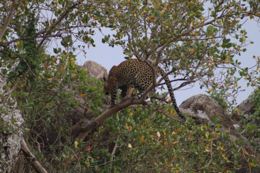 Tanzania - Babymomma!